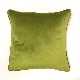 Velvet Piped Lime Green